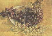 Vincent Van Gogh Still life wtih Grapes (nn04) oil painting on canvas